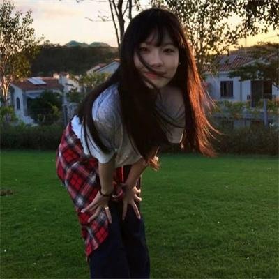 刺猬与城市
