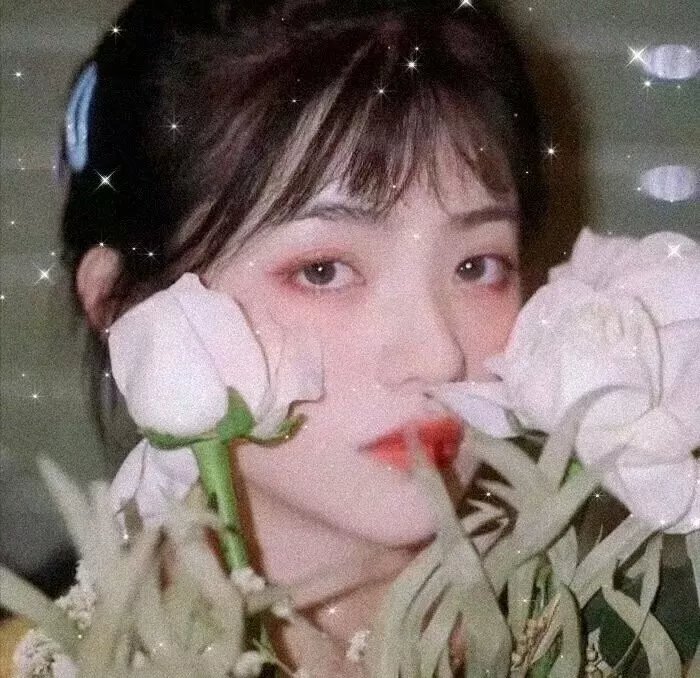 卡通新世界